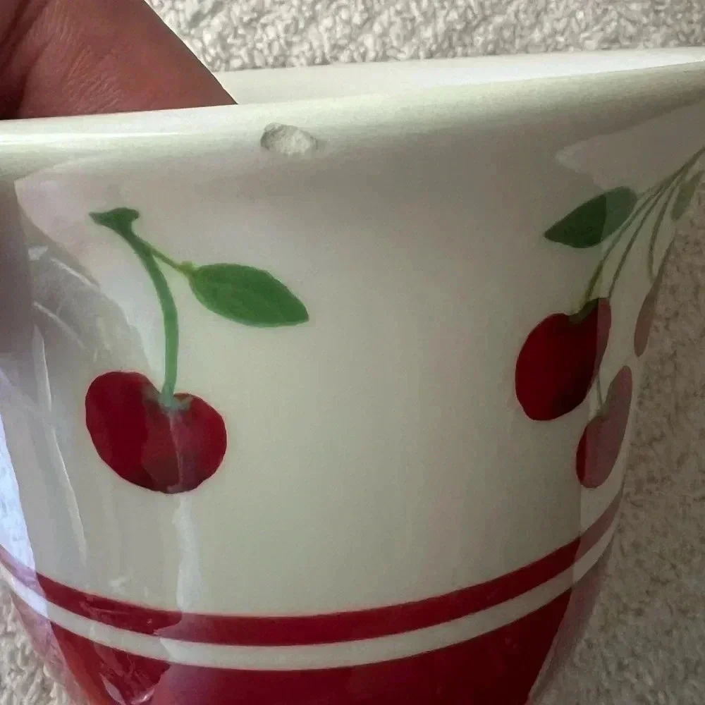 Sonoma‎ Dish Cherries Jubilee Cherry Pattern